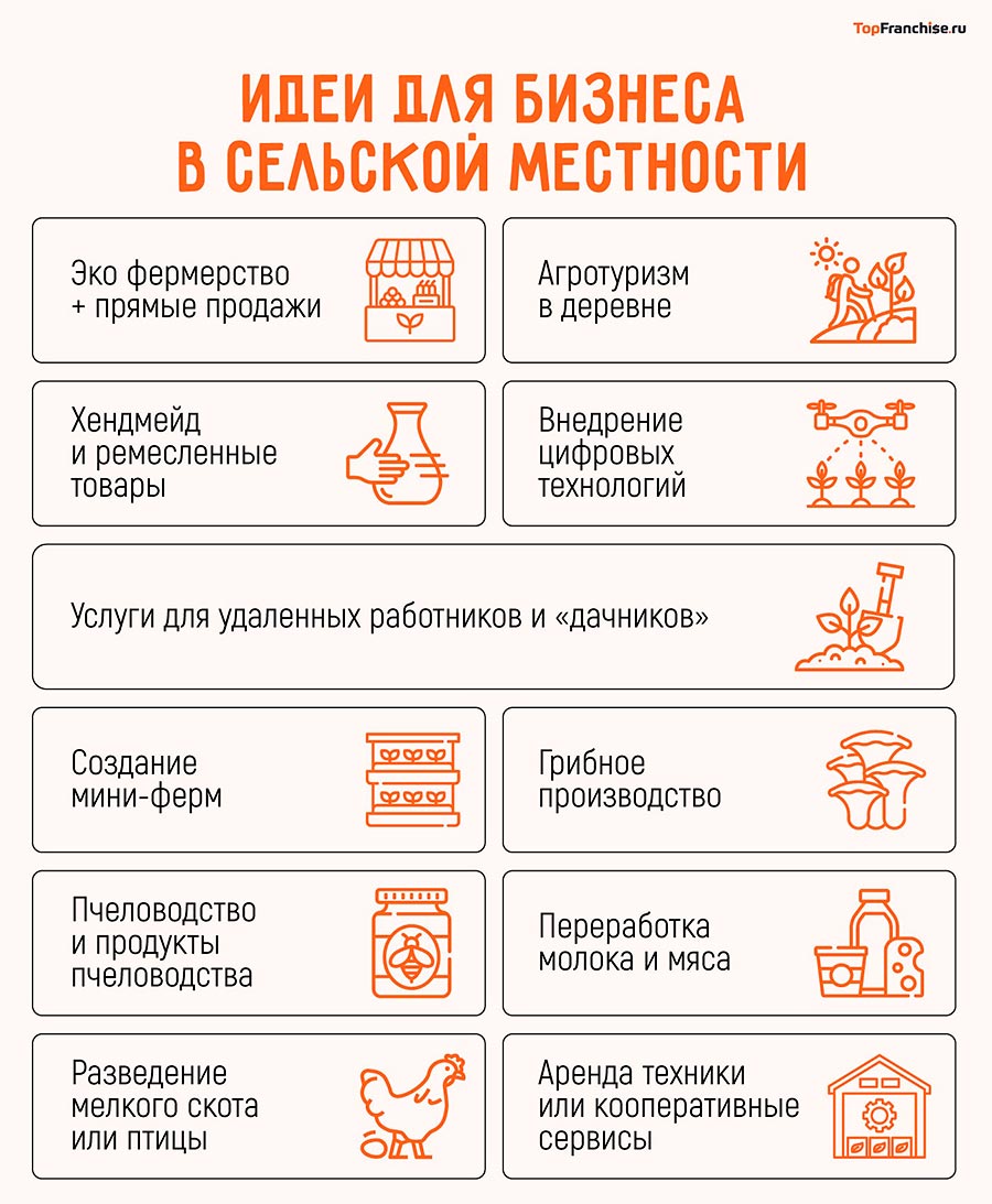 biznes-idei-dlja-sela-bez-vlozhenij-kak-nachat-svoe-delo-s-nulja