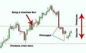 bonusy-na-foreks-i-prosadka-kak-ustojat-na-plavu