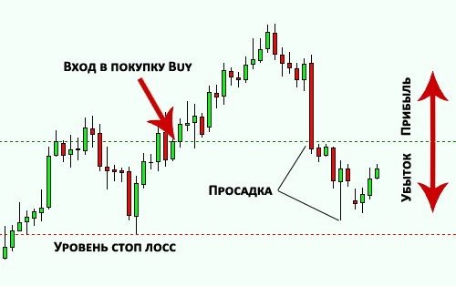 bonusy-na-foreks-i-prosadka-kak-ustojat-na-plavu