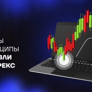 foreks-skripty-avtomatizacija-torgovli-na-valjutnom-rynke