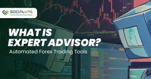 foreks-sovetniki-avtomatizirovannaja-torgovlja-ili-risk