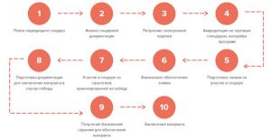 tendery-b2b-rukovodstvo-po-uchastiju-i-pobede