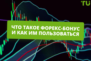 usd-bonusy-na-foreks-kak-poluchit-i-ispolzovat-s-vygodoj